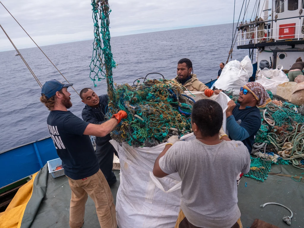 Naukowcy znaleźli całe siedliska morskich stworzeń na plastikowych odpadach