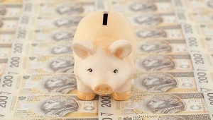 Tylko ciągu półtora roku zadłużenie Polski wzrosło o 350 mld zł
