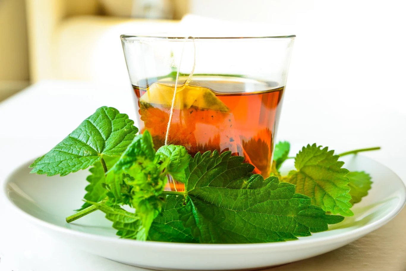 Pomoże usunąć toksyny z organizmu, a jej przygotowanie jest naprawdę proste!