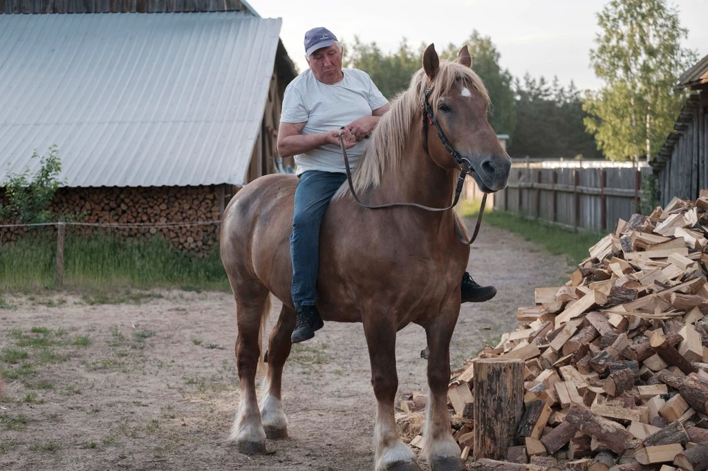 Jurek przygotuje konie na wystawę