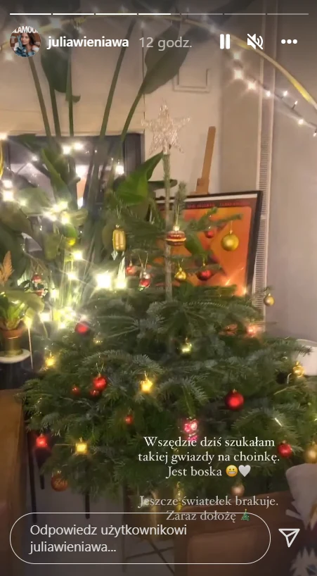 Julia Wieniawa: instagram.com/juliawieniawa/