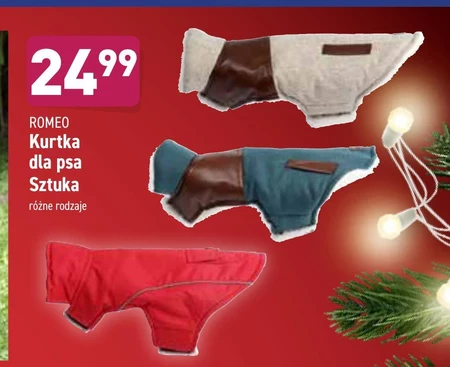 Kurtka dla psa Romeo