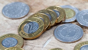 Złoty znów jest w odwrocie