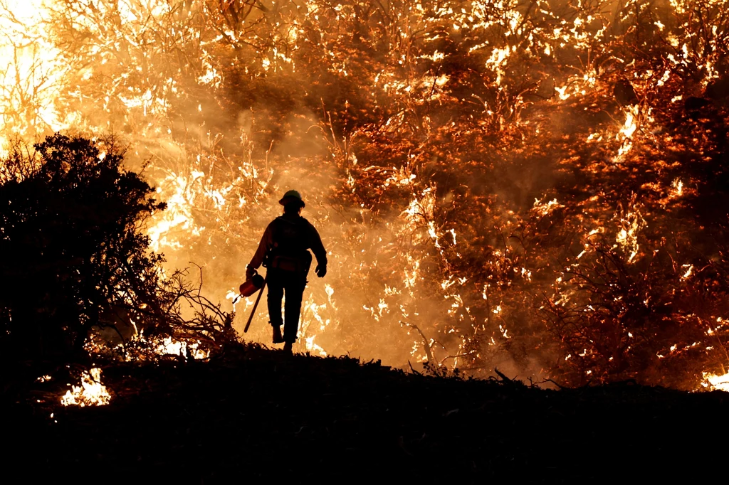 Pożar lasu w Kalifornii.