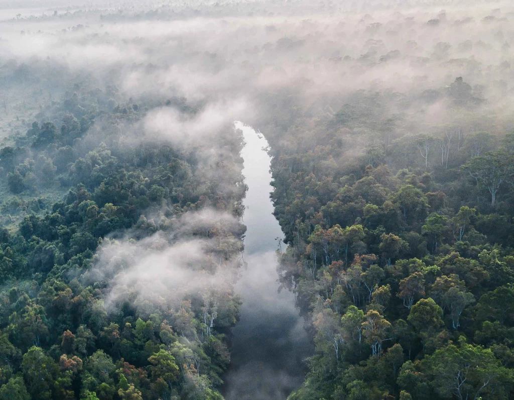 Amazonia jaką znamy może niedługo zniknąć