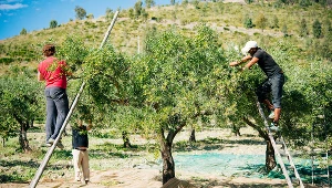 W Hiszpanii brakuje pracowników