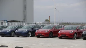 Tesla Model 3 to najpopularniejszy model tego producenta