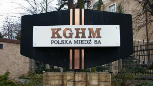 Wiele firm zadeklarowało inwestycję w technologię jądrową, w tym m.in. KGHM