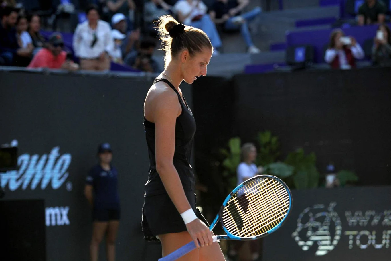 Karolina Pliskova