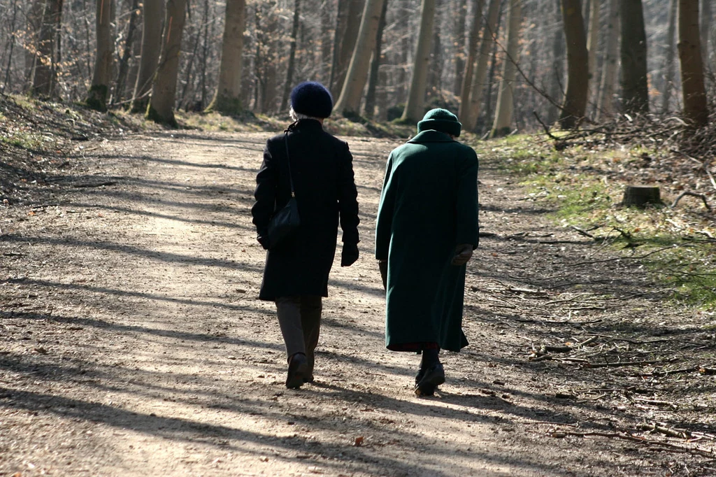 Po kolacji, zamiast się rozsiadać, warto iść na krótki spacer. Eksperci wskazują, że ta aktywność fizyczna niesienia za sobą masę pozytywów 