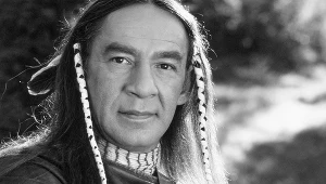 Larry Sellers w serialu "Doktor Quinn"