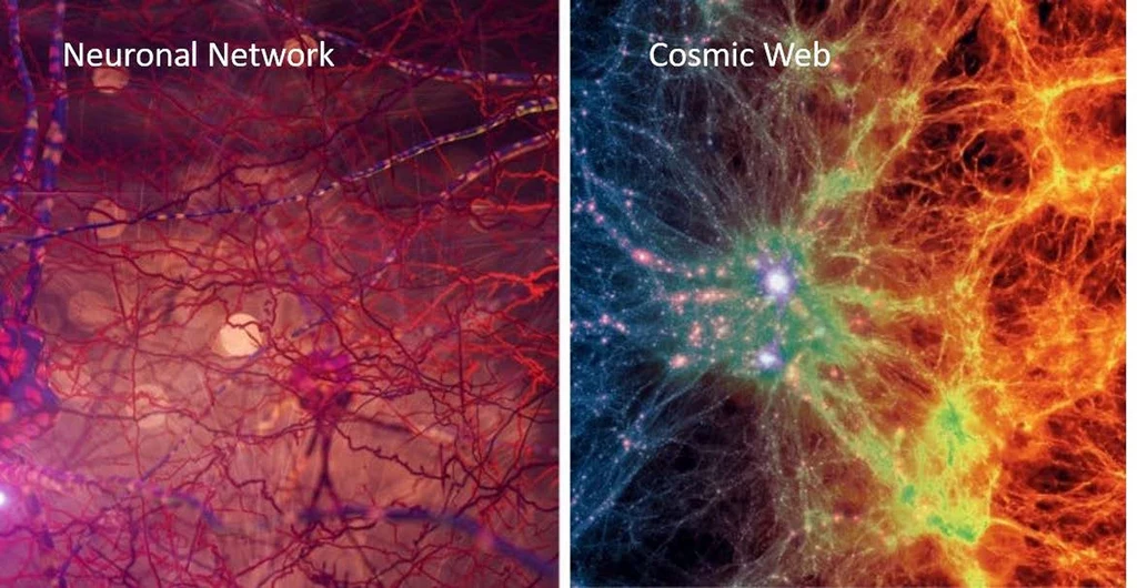 Porównanie struktury Wszechświata do sieci neuronowej w mózgu
