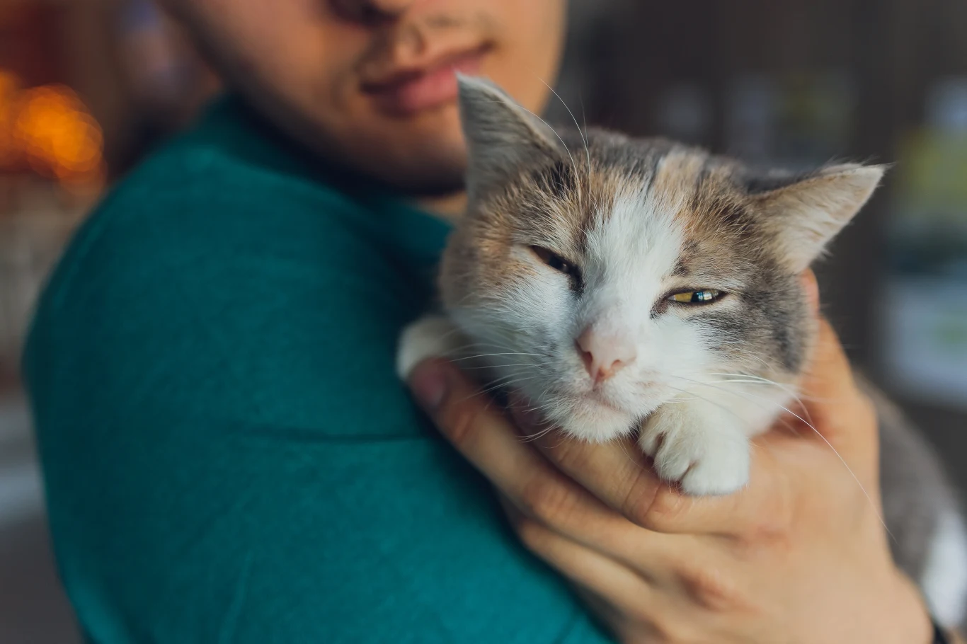 Za rozród zwierząt powinny odpowiadać powołane do tego służby. Kastracja bezdomnych zwierząt to jedyny sposób, by zahamować ten proces? Za rozród zwierząt powinny odpowiadać powołane do tego służby. Kastracja bezdomnych zwierząt to jedyny sposób, by zahamować ten proces