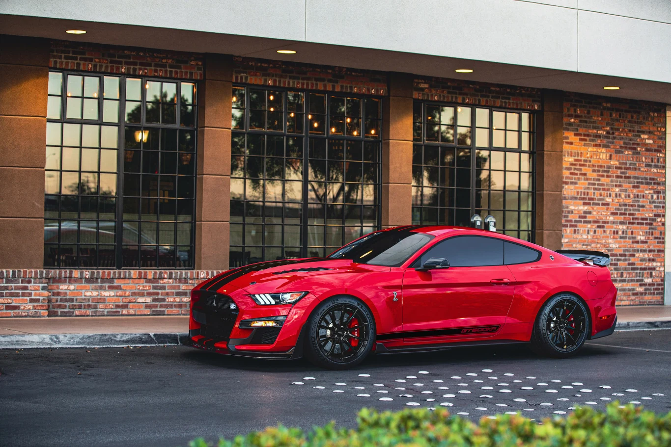 Shelby GT500KR Shelby GT500KR
