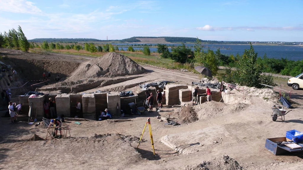 Neandertalczycy celowo pozbywali się lasów już 125 tys. lat temu