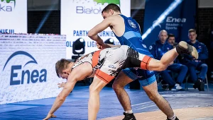 Polska Liga Zapaśnicza