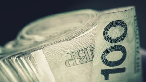 Złoty pod presją. Jak będą się kształtować kursy walutowe w 2022 roku? Zdj. ilustracyjne