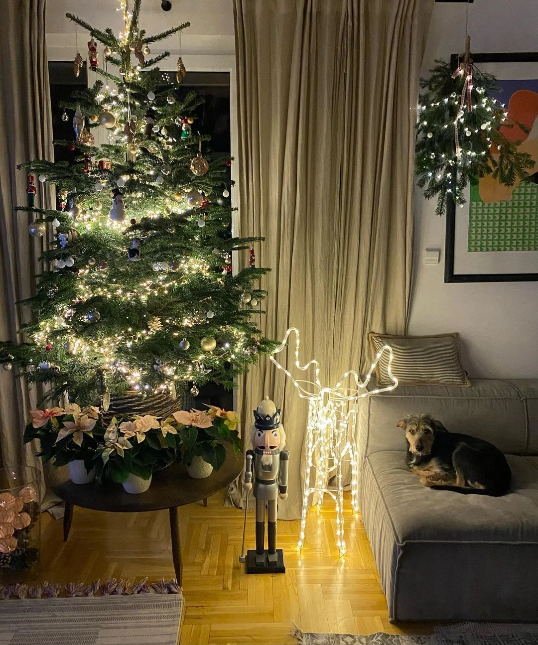 Dom Szyców na święta