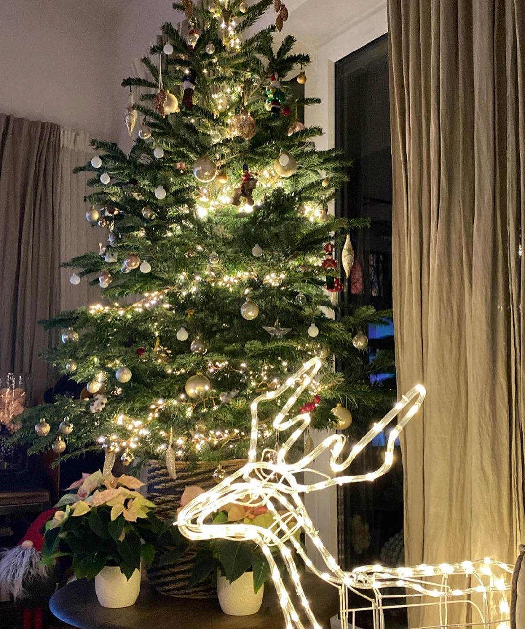 Dom Szyców na święta