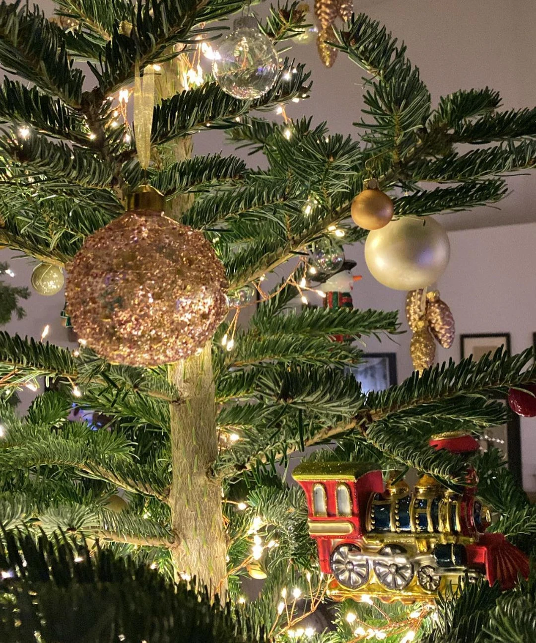 Dom Szyców na święta