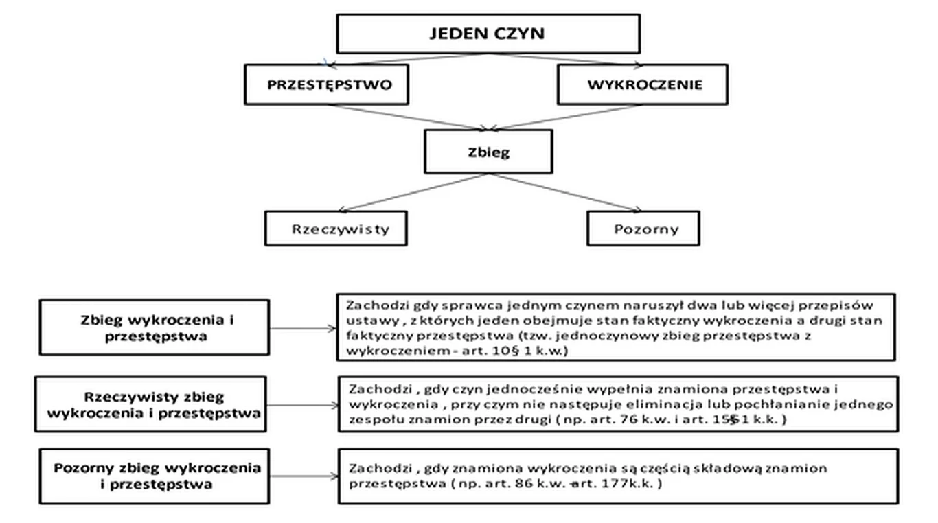 Fragment z pisma Stowarzyszenia Pomocy Poszkodowanym w Wypadkach i Kolizjach Drogowych Alter Ego do RPO