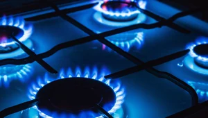 Dzisiejsze taryfy na gaz są zamrożone na maksymalnym poziomie 200 zł za MWh