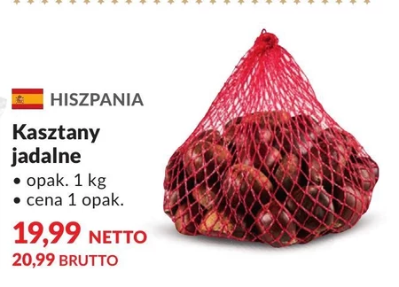 Kasztan jadalny