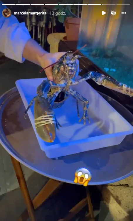 Marcela Leszczak na IG @marcelamargerita Marcela Leszczak na IG @marcelamargerita