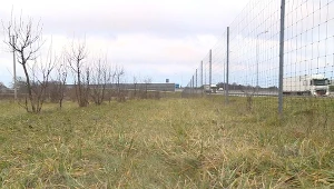 Zwłoki dwóch młodych mężczyzn znaleziono w pobliżu drogi technicznej niedaleko autostrady A1 w Świętoszowicach (woj. śląskie)