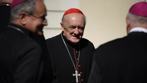 Kard. Kazimierz Nycz