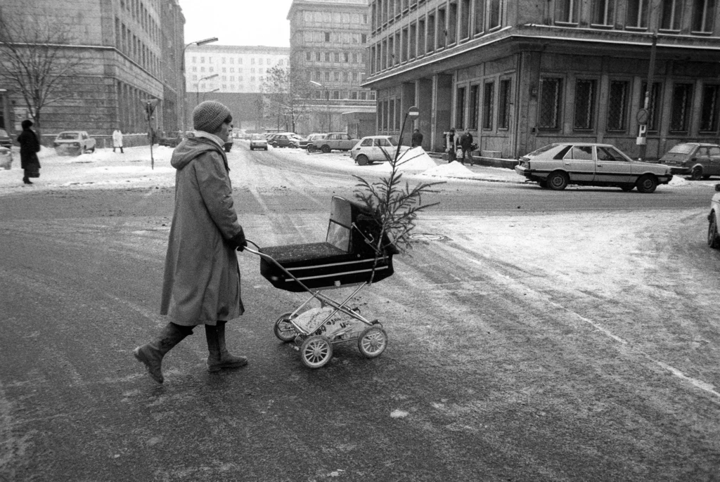 Mogło w domu brakować karpia, śledzi czy maku, ale choinka była zawsze. 