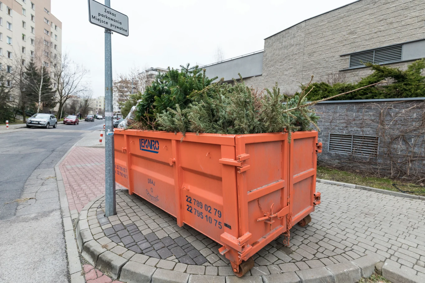 W niektórych miasta po świętach firmy odbierające odpady ustawiają specjalne kontenery na choinki. Można je także wyrzucić do pojemnika na bioodpady lub oddać do punktu zbiórki odpadów W niektórych miasta po świętach firmy odbierające odpady ustawiają specjalne kontenery na choinki. Można je także wyrzucić do pojemnika na bioodpady lub oddać do punktu zbiórki odpadów