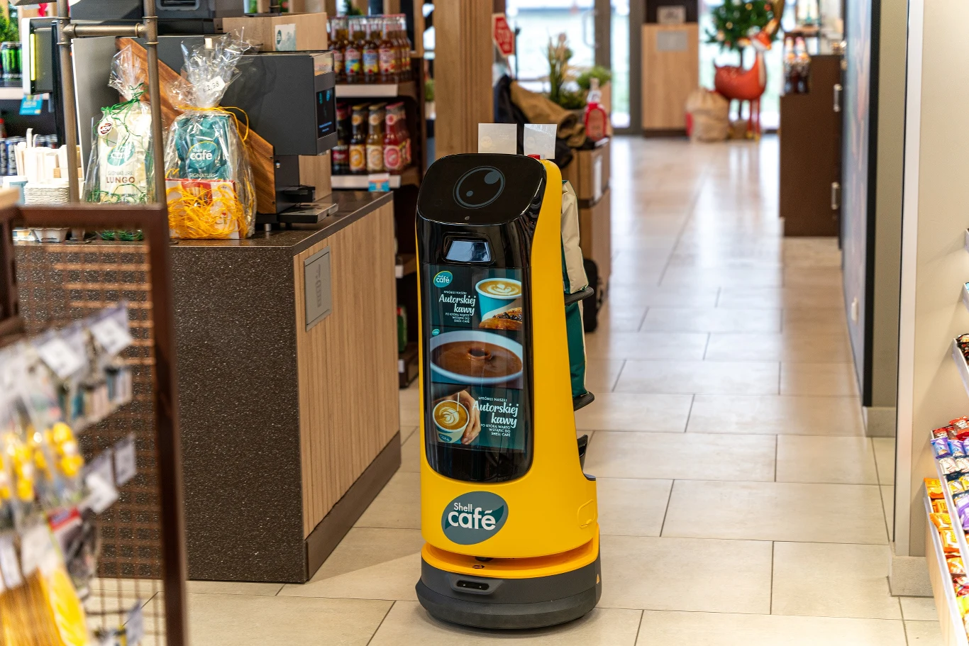 Robot KittyBot Robot KittyBot