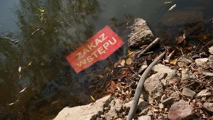 Skażona woda, zdj. ilustracyjne 