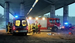 Kobieta spadła z Mostu Rędzińskiego we Wrocławiu