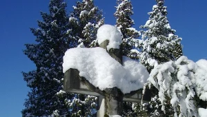 Mężczyźni mili rzucać śnieżkami w wiernych