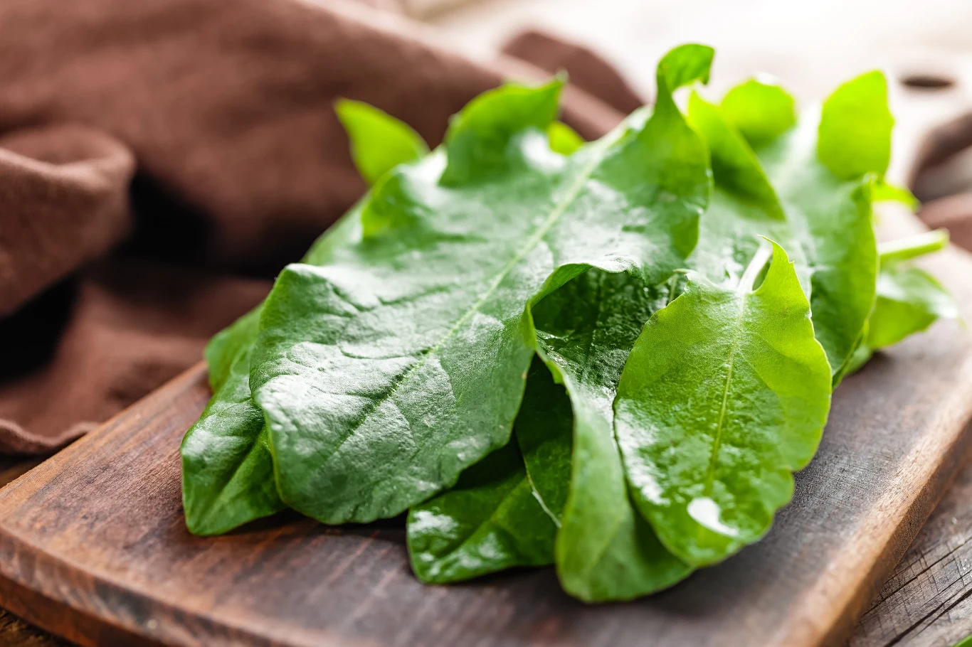 Szczaw to skarbnica składników odżywczych Szczaw to skarbnica składników odżywczych