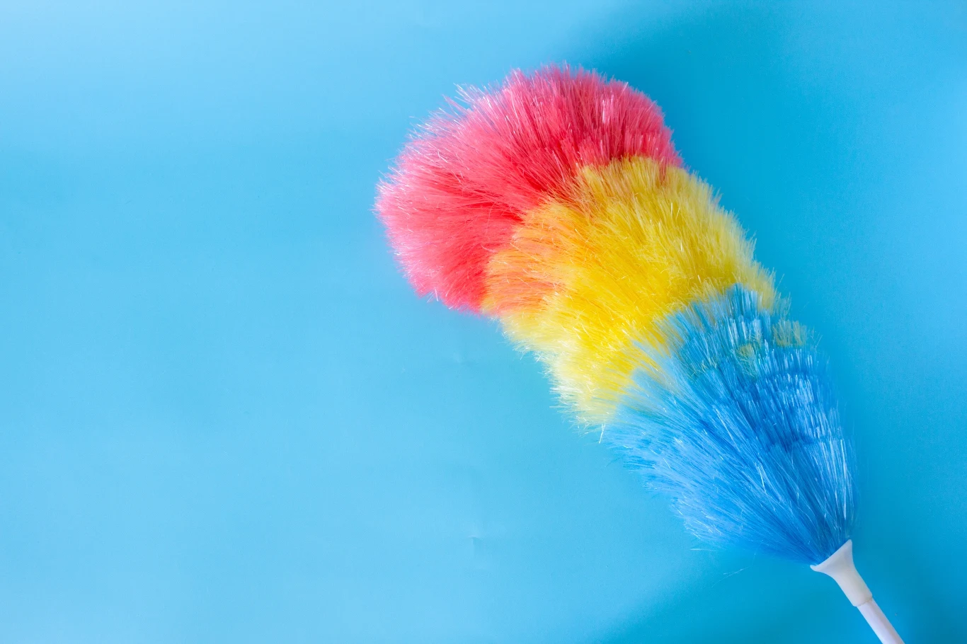 Warto zaopatrzyć się w miotełkę do kurzu. Szybko pomoże doczyścić ściany Warto zaopatrzyć się w miotełkę do kurzu. Szybko pomoże doczyścić ściany