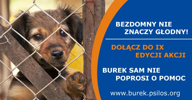 Plakat Fundacji Psi Los