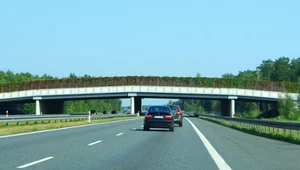 Autostrada A2