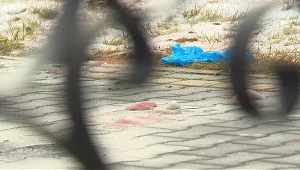 Zakrwawiony śnieg po awanturze rodzinnej w Rozniszewie