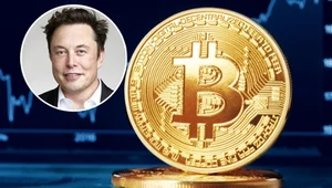 Elon Musk wie, kim jest twórca Bitcoina