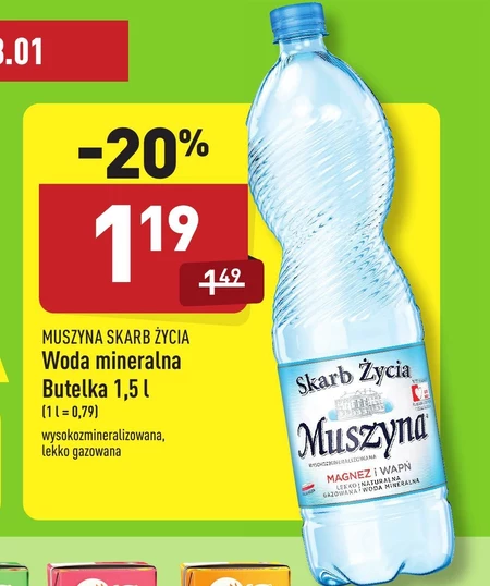 Muszyna Skarb Życia Naturalna woda mineralna wysokozmineralizowana lekko gazowana 1,5 l