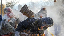 Els Enfarinats jest częścią obchodów większego świata o dużo dłuższej nazwie: Fiestas de Invierno de Ibi, czyli Fiesty Zimowej w Ibi. Początki święta sięgają XVII wieku, ale nie ma dostatecznych wzmianek historycznych, czy już wtedy ludzie obrzucali się mąką czy jajkami.