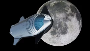 Starship nie poleci w kosmos. Rząd USA zablokował SpaceX