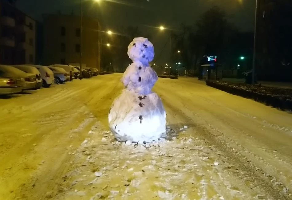 Bałwan stał na środku drogi, między pasami ruchu