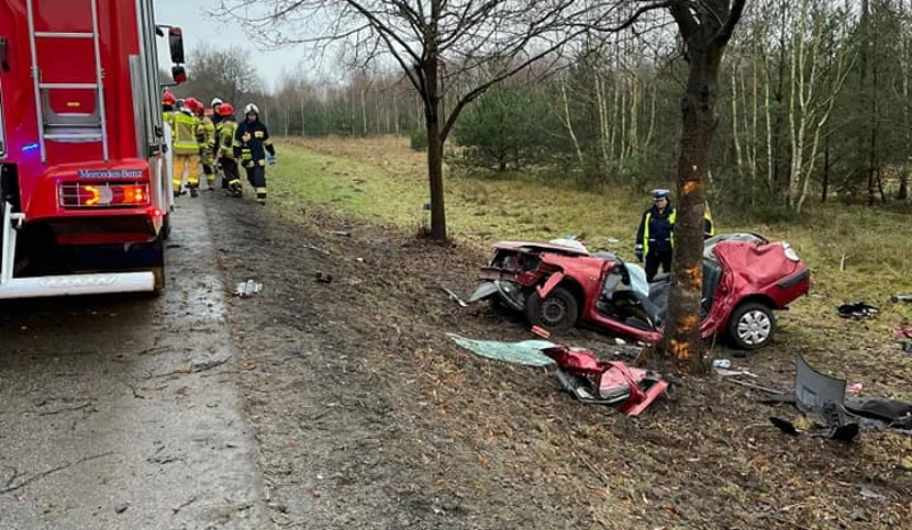 Dwie osoby jadące Renault Thalia zginęły na miejscu / Fot: Straż pożarna