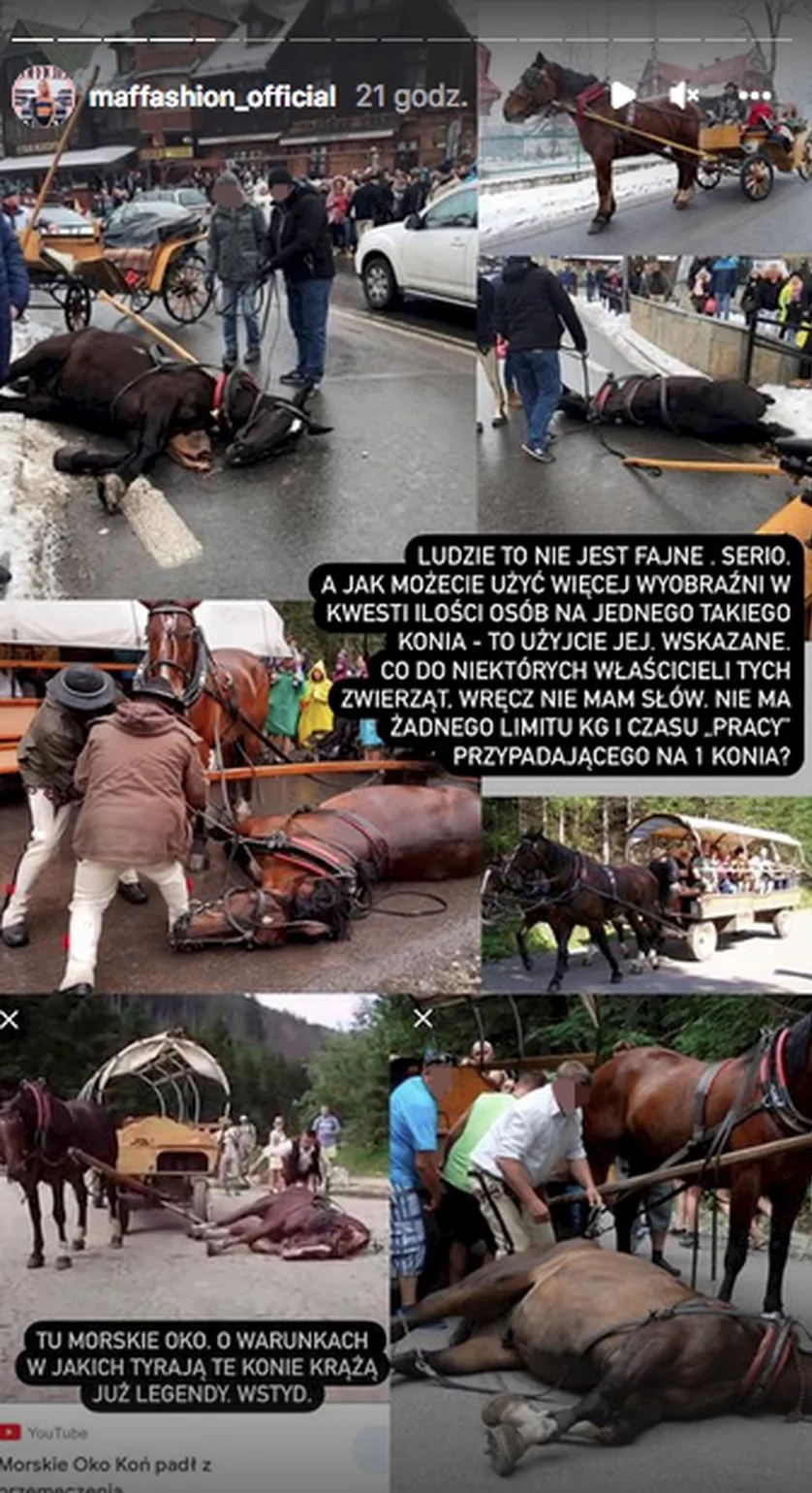 Maffashion Maffashion