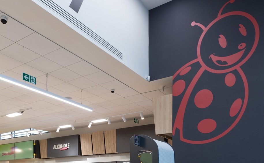 Biedronka rozdaje gratis książkę kucharską. Kuchnia śródziemnomorska w Biedronce.