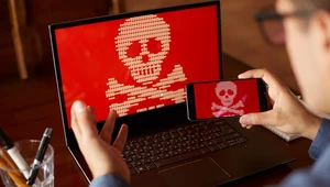 Ataki homograficzne wykorzystują możliwość zamieszczania w adresach URL znaków z innych alfabetów niż łaciński